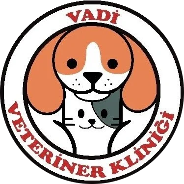 Vadi Veteriner Kliniği | Ankara Çankaya Veteriner Kliniği | Ankara Çankaya Acil Veteriner Kliniği | Ankara Çankaya Aşılama | Ankara Çankaya Cerrahi Müdahale | Ankara Çankaya Pet Yoğun Bakım | Ankara Çankaya Kısırlaştırma | Ankara Çankaya Pet Kuaför | Ankara Çankaya Kedi Traşı | Ankara Çankaya Köpek Traşı | Ankara Çankaya Pet Aksesuar